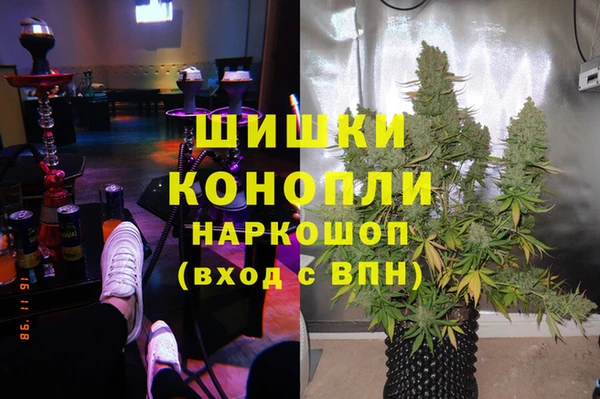 сатива Алексин