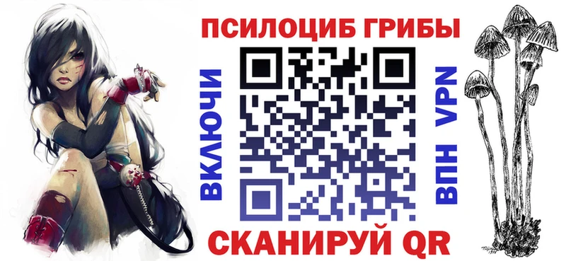 kraken зеркало  Пикалёво  Псилоцибиновые грибы мицелий 